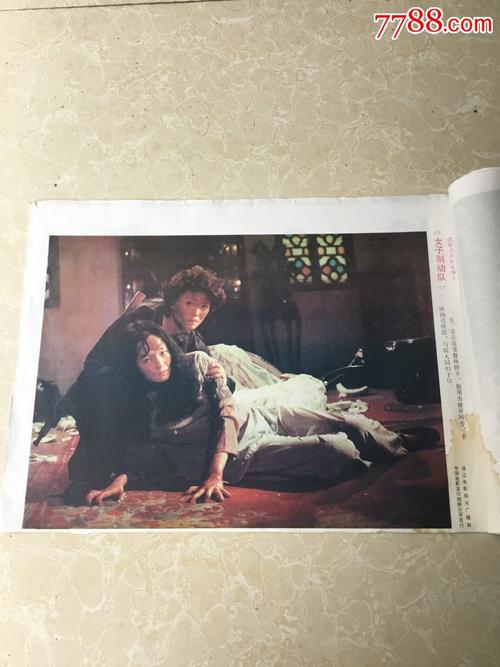 买个假的魁北克水电法案