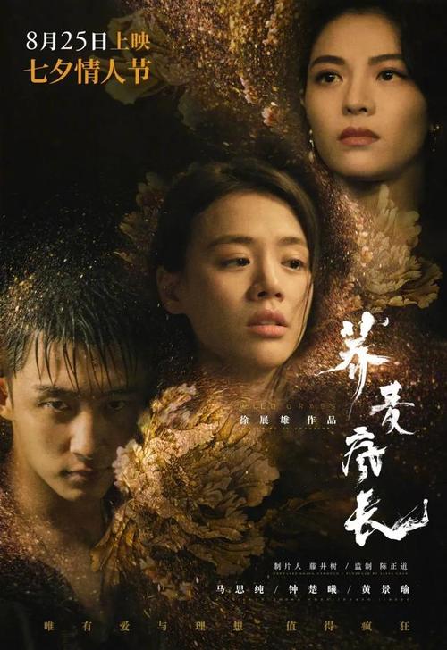 马斯京根大学在读证明办理